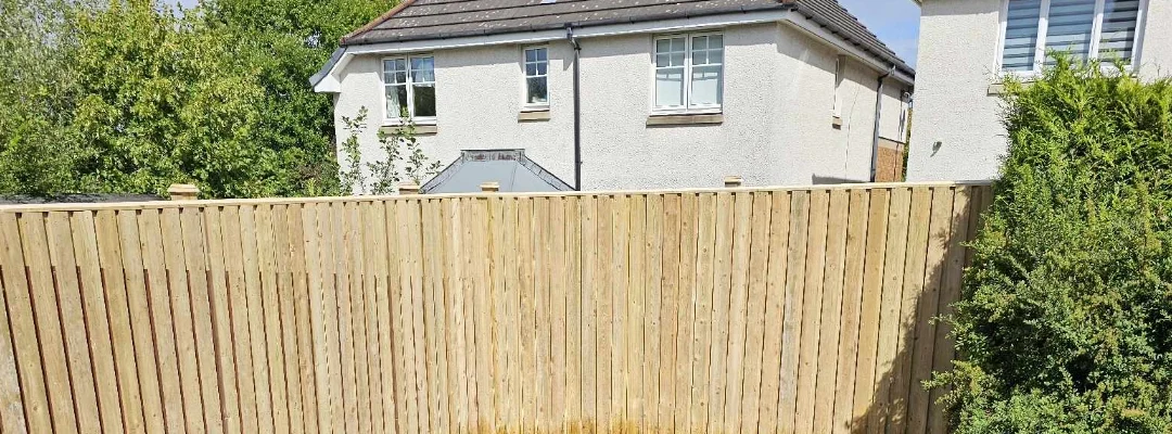 Fencing and Gates: Define Your Space with Style and Function